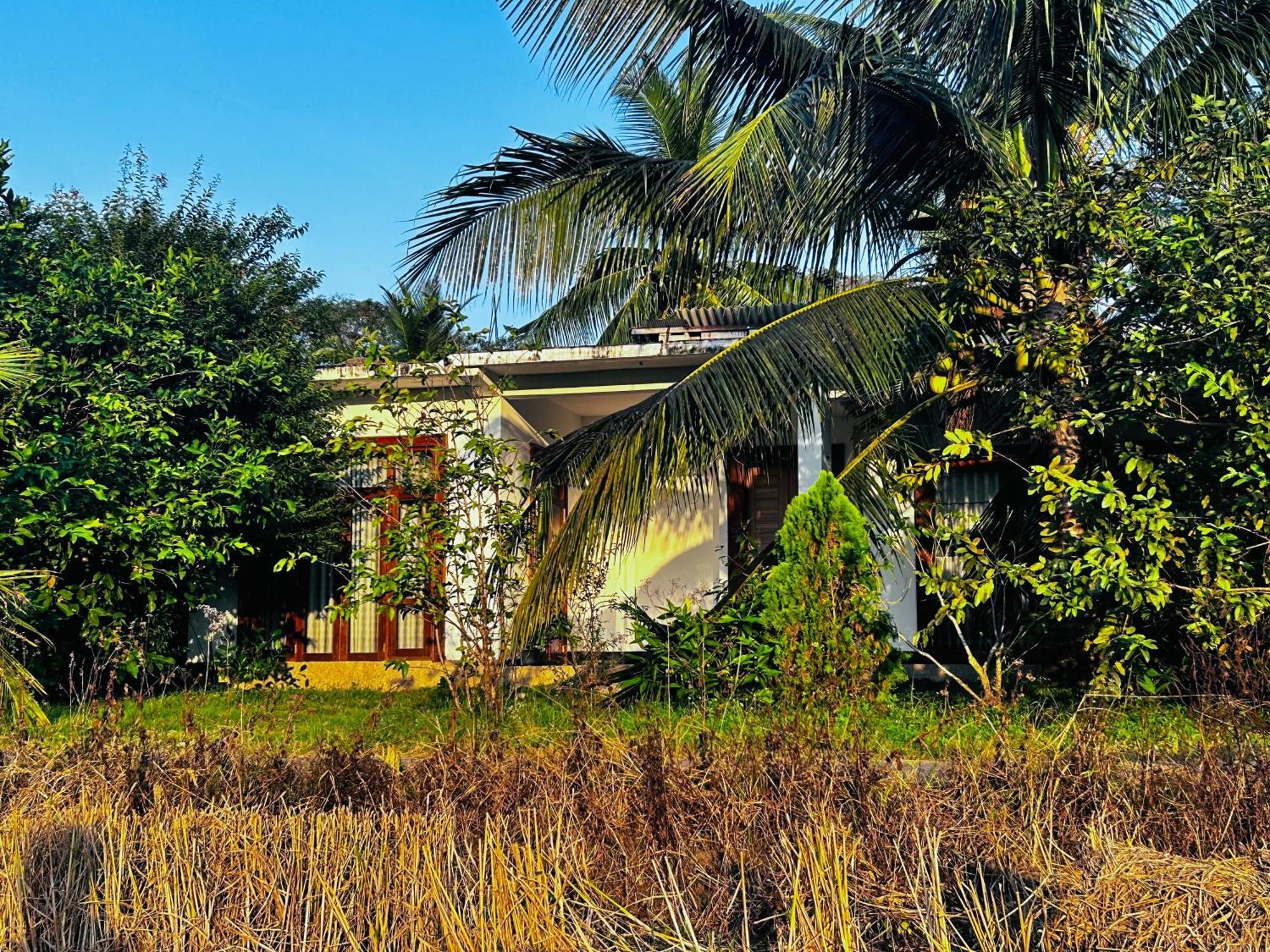 Windy Villa Cidade Antiga de Polonnaruva Exterior foto